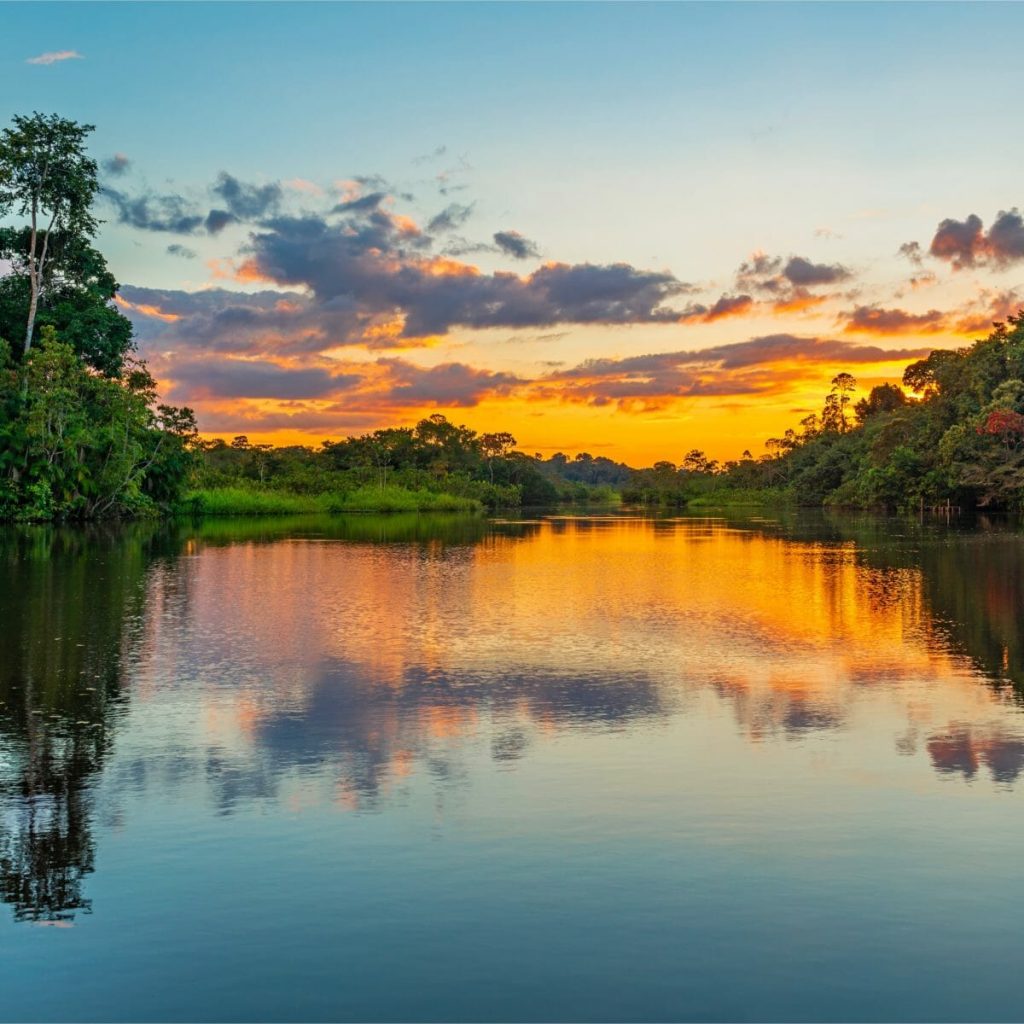 Pantanal Experience