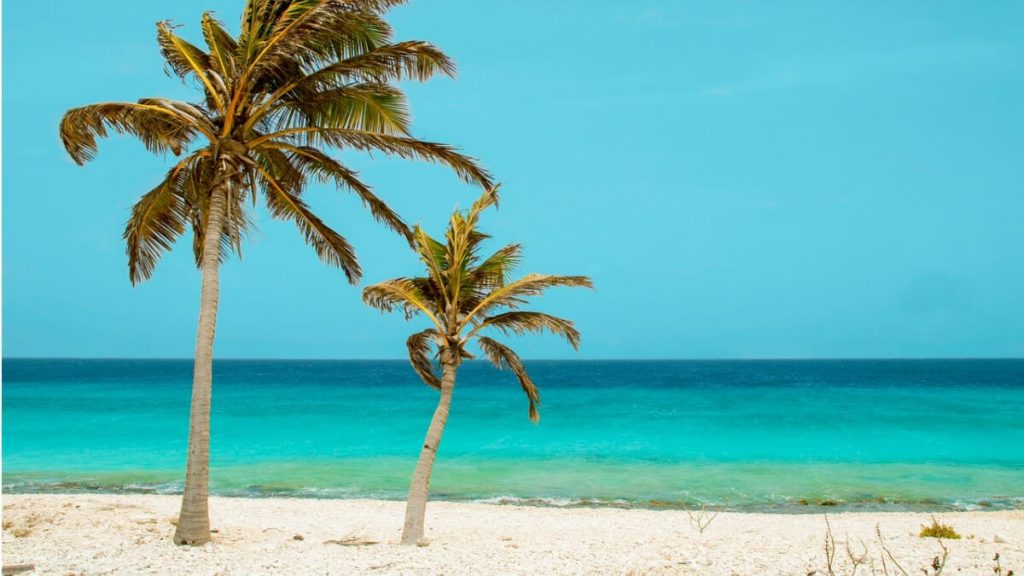 SUNSCAPE  RESORT & SPAS.