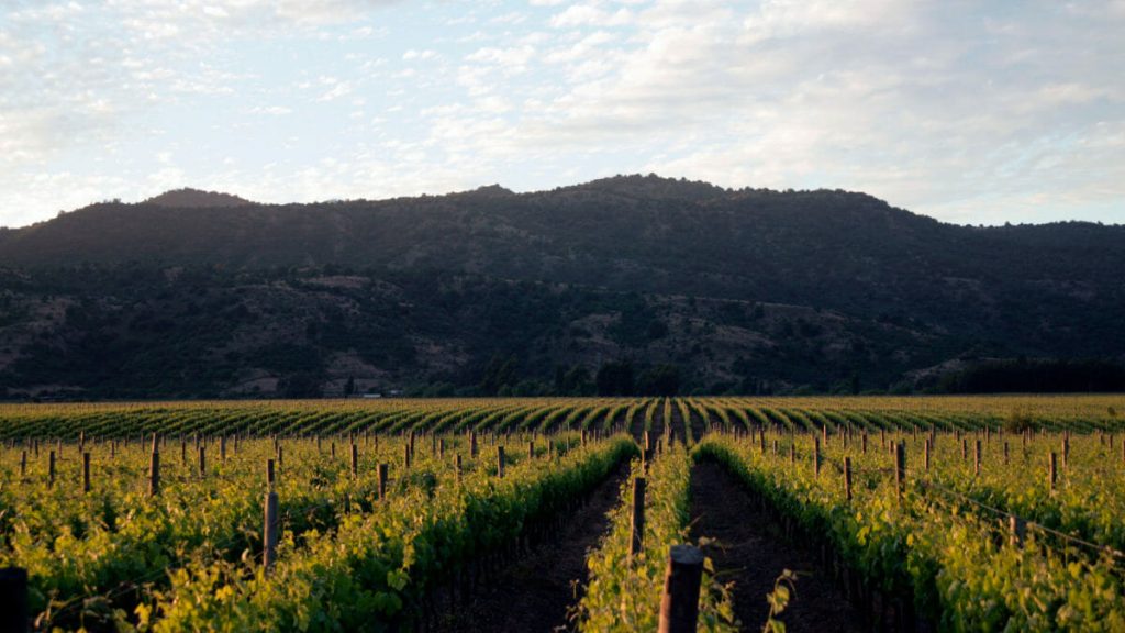 Santiago & Vinhos – Vale de Colchagua