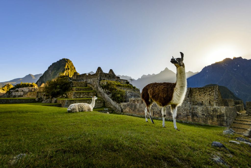 Essências do Peru